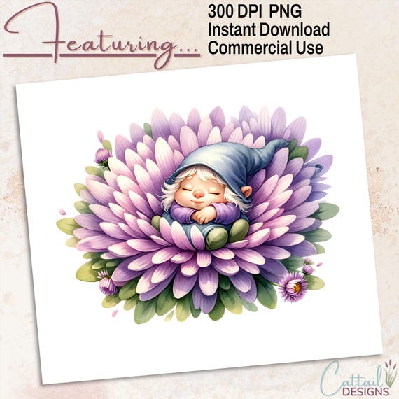 September Aster Baby Gnome PNG Clipart | Birth Month Flower Sublimation | 300 DPI Digital Download